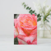 Rosa Elegant Lady (Briefkaart) Briefkaart (Staand voorkant)