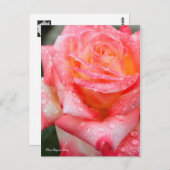 Rosa Elegant Lady (Briefkaart) Briefkaart (Voorkant / Achterkant)