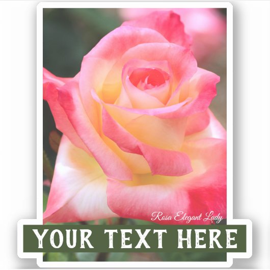 Rosa Elegant Lady [Cut Seal] Sticker (Voorkant)