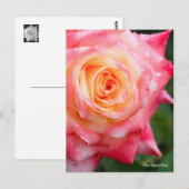 Rosa Elegant Lady [Postcard] Briefkaart (Voorkant / Achterkant)