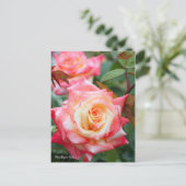 Rosa Elegant Lady [Postcard] Briefkaart (Staand voorkant)