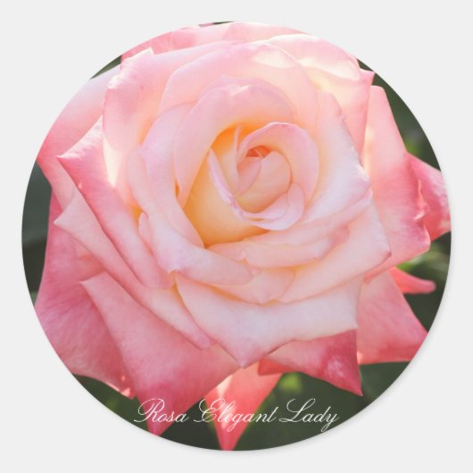 Rosa Elegant Lady Ronde Sticker (Voorkant)