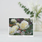 Rosa Elina Briefkaart (Staand voorkant)