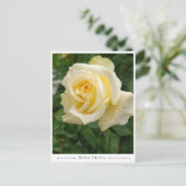 Rosa Elina Briefkaart (Staand voorkant)