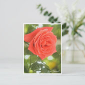 Rosa Emanuel Briefkaart (Staand voorkant)