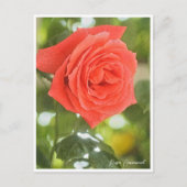 Rosa Emanuel Briefkaart (Voorkant)