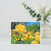 Rosa Emblem Briefkaart (Staand voorkant)