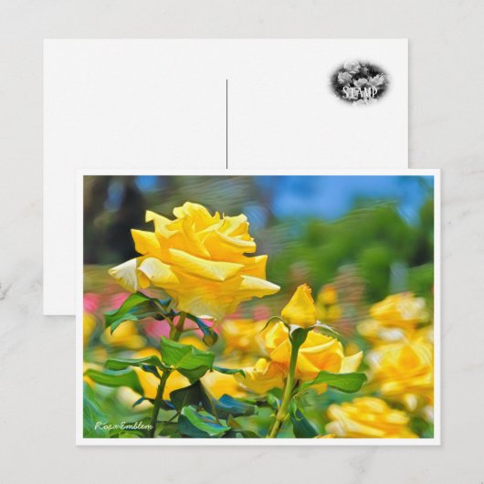 Rosa Emblem Briefkaart (Voorkant / Achterkant)