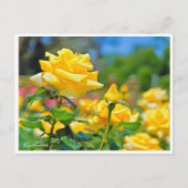 Rosa Emblem Briefkaart (Voorkant)