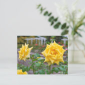 Rosa Emblem Briefkaart (Staand voorkant)