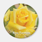 Rosa Emblem Magneet (Voorkant)