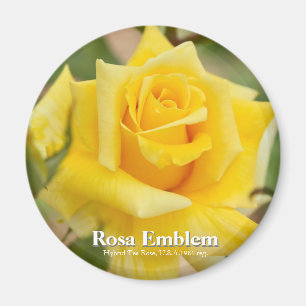 Rosa Emblem Magneet