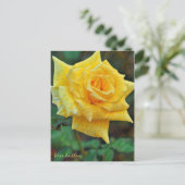 Rosa Emblem [Postcard] Briefkaart (Staand voorkant)