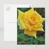 Rosa Emblem [Postcard] Briefkaart (Voorkant / Achterkant)