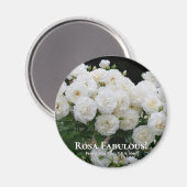 Rosa Fabulous! Magneet (Voorkant / Achterkant)