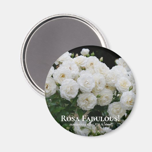 Rosa Fabulous! Magneet (Voorkant / Achterkant)