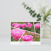 Rosa Finesse Briefkaart (Staand voorkant)