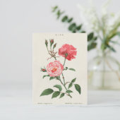  Rosa Flowers Briefkaart (Staand voorkant)