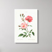  Rosa Flowers Canvas Afdruk (Voorkant)