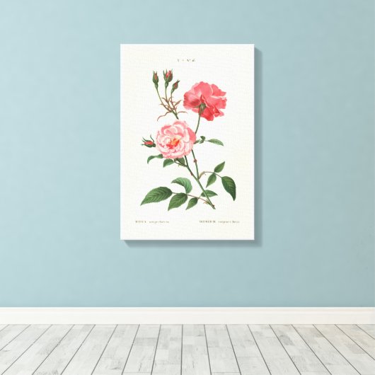  Rosa Flowers Canvas Afdruk (Insitu (Houten vloer))