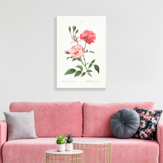  Rosa Flowers Canvas Afdruk (Insitu (Woonkamer))
