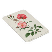  Rosa Flowers Magneet (Rechterzijde)
