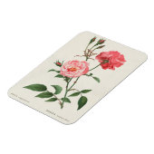  Rosa Flowers Magneet (Linkerzijde)