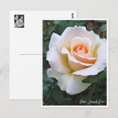 Rosa French Lace Briefkaart (Voorkant / Achterkant)