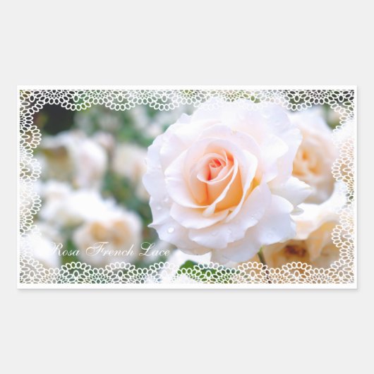 Rosa French Lace [Rectangular Seal] Rechthoekige Sticker (Voorkant)