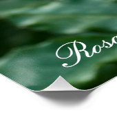 Rosa Friesia:Perfect Poster (Hoek)