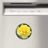 Rosa Friesia:Round Magnet (Insitu (Vaatwasser))