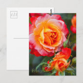 Rosa Fruite [Briefkaart] Briefkaart (Voorkant / Achterkant)
