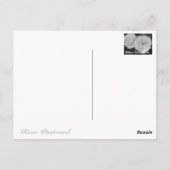 Rosa Fruite:Briefkaart Briefkaart (Achterkant)