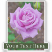 Rosa 'Fujimusume' [Cut Seal] Sticker (Voorkant)