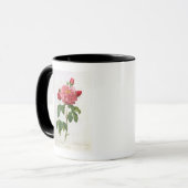 Rosa Gallica Aurelianensis Mok (Voorkant links)