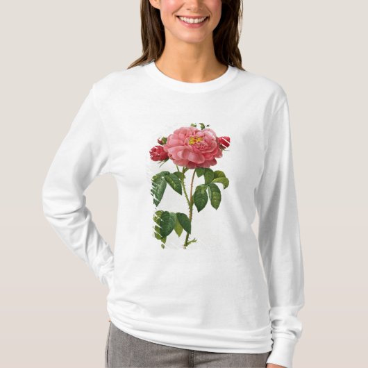 Rosa Gallica Aurelianensis T-shirt (Voorkant)