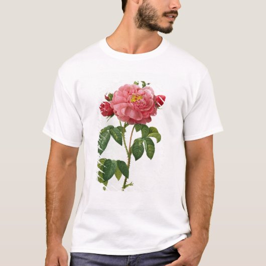 Rosa Gallica Aurelianensis T-shirt (Voorkant)