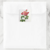 Rosa Gallica Aurelianensis Vierkante Sticker (Tas)