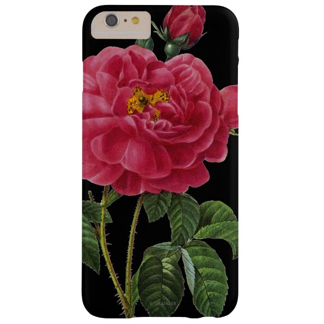Rosa Gallica Case-Mate iPhone Case (Achterkant)