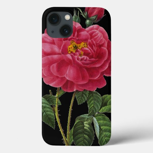 Rosa Gallica Case-Mate iPhone Case (Achterkant)