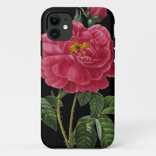 Rosa Gallica iPhone 11 Hoesje