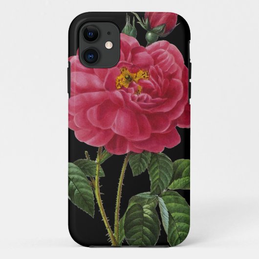 Rosa Gallica Case-Mate iPhone Case (Achterkant)