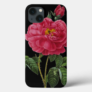 Rosa Gallica Case-Mate iPhone Case