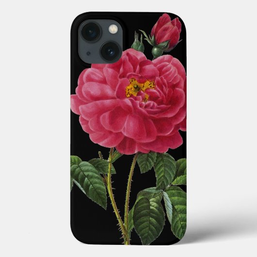 Rosa Gallica Case-Mate iPhone Case (Achterkant)
