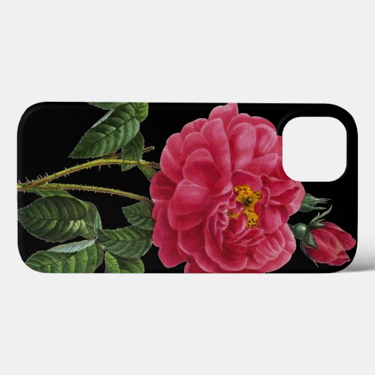 Rosa Gallica Case-Mate iPhone Case (Achterkant (horizontaal))