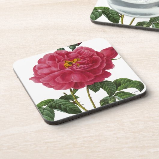 Rosa Gallica Drankjes Onderzetter (Linkerzijde)