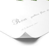 Rosa gallica flore giganteo poster (Hoek)