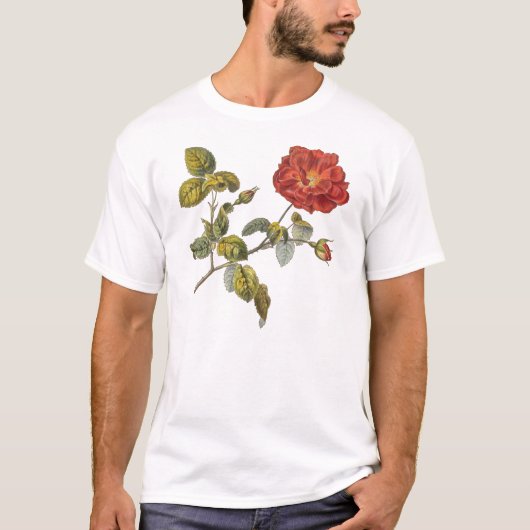 Rosa Gallica Mooi Rood Antiek  Roos T-shirt (Voorkant)