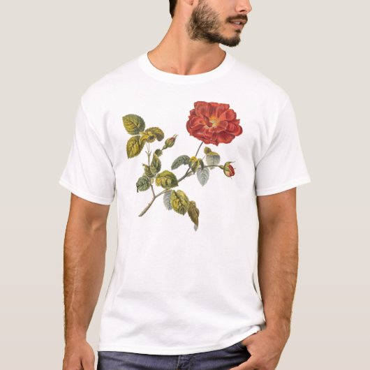 Rosa Gallica Mooi Rood Antiek Roos T-shirt (Voorkant)