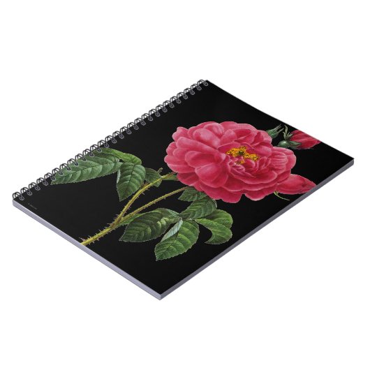 Rosa Gallica Notitieboek (Linkerzijde)